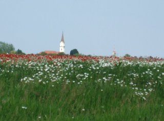 piros fehér zöld