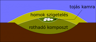 a lábastyúk költődombja