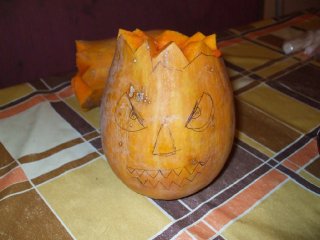a félbevágott tök