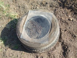 krumpli a gumiban