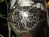 dscf3875