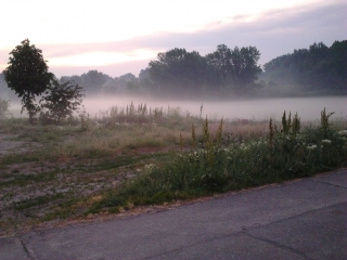 ködös hajnal