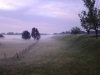 hajnali köd